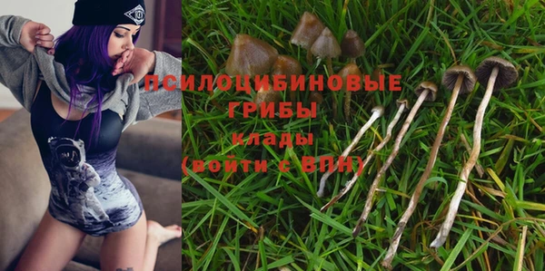 каннабис Струнино