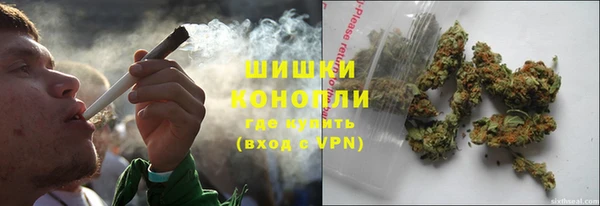 стаф Богородицк