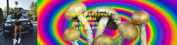 дмт Бородино