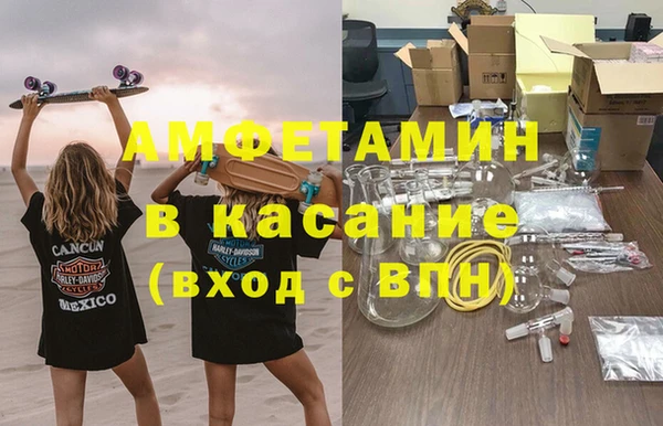 дмт Бородино