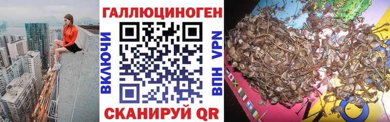 закладка  Тула  ссылка на мегу онион  Псилоцибиновые грибы MAGIC MUSHROOMS 